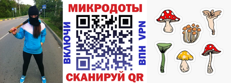 дарк нет формула гидра ссылка Белебей как найти закладки Галлюциногенные грибы мухоморы